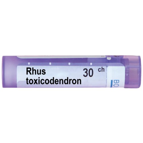 Rhus toxicodendron Рус токсикодендрон 30 СН
